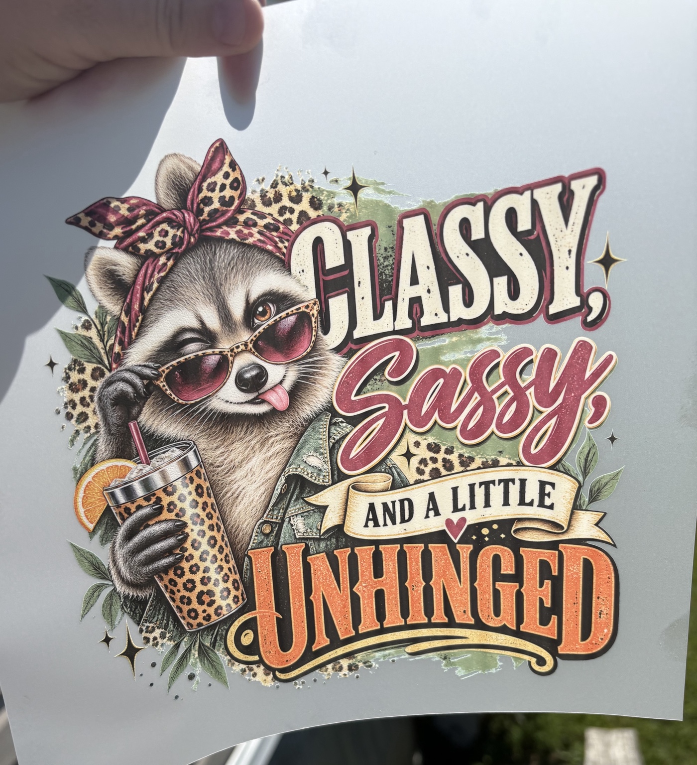 Classy Sassy and a Little Unhinged raccoon DTF transfer