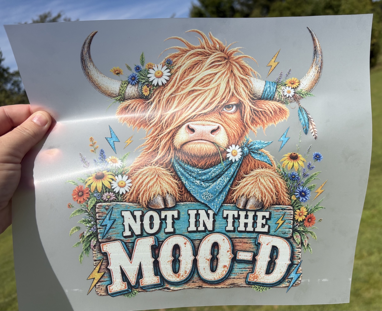 Not In The Mood Highland cow DTF transfer